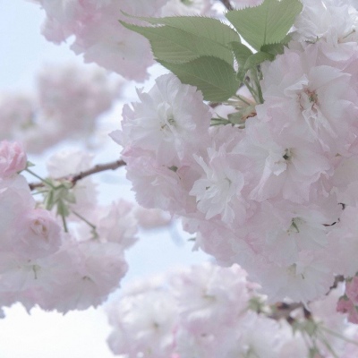 兽设细节刻画技巧福瑞交流群